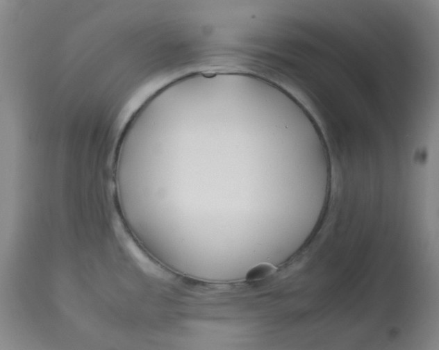 X0000113151485200909251316