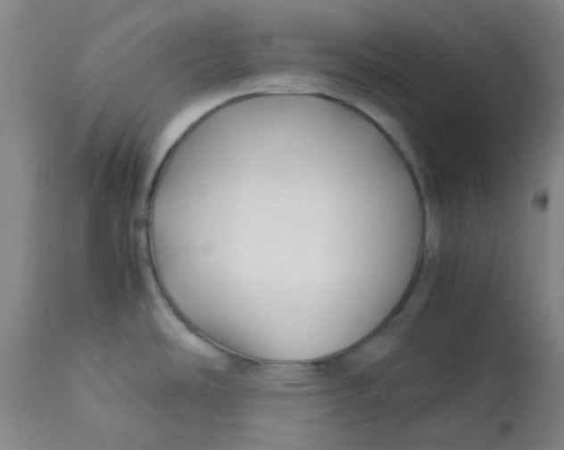 X0000113151486200909251316