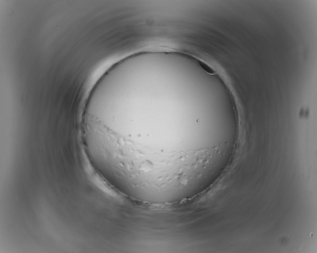 X0000113151488200909251316