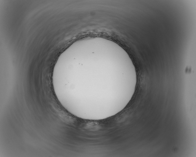 X0000113151489200909251315