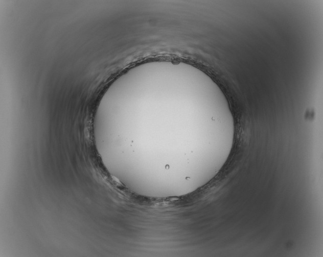 X0000113151490200909251315