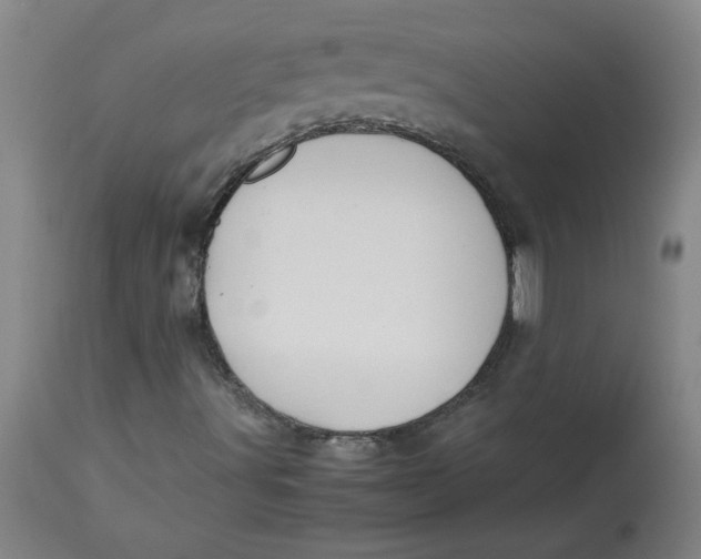 X0000113151491200909251315