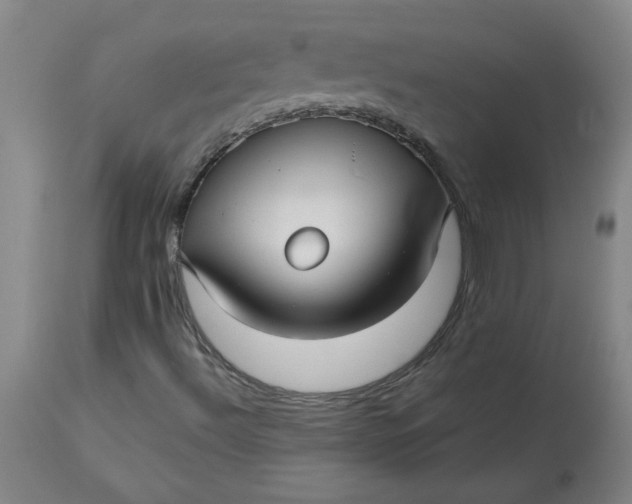 X0000113151492200909251315