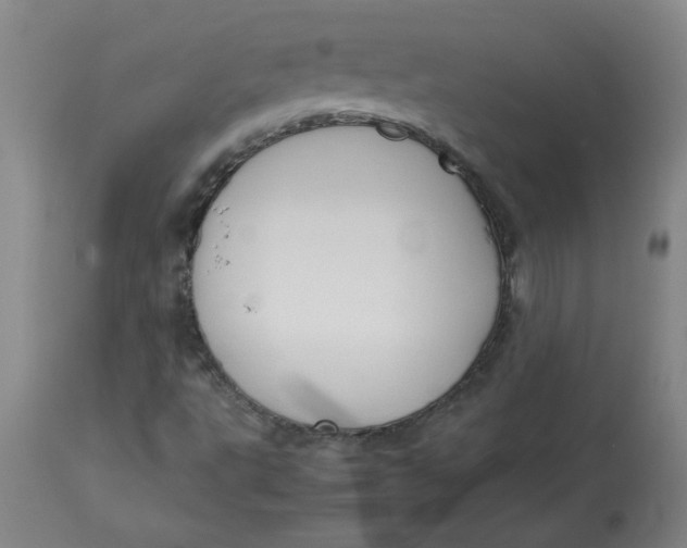 X0000113151495200909251315