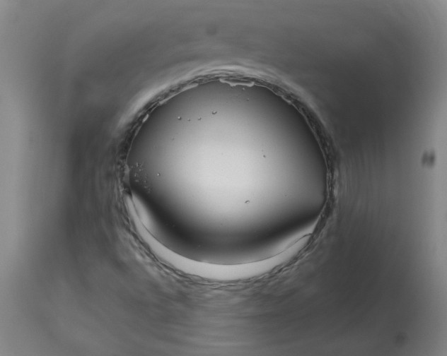 X0000113151496200909251315