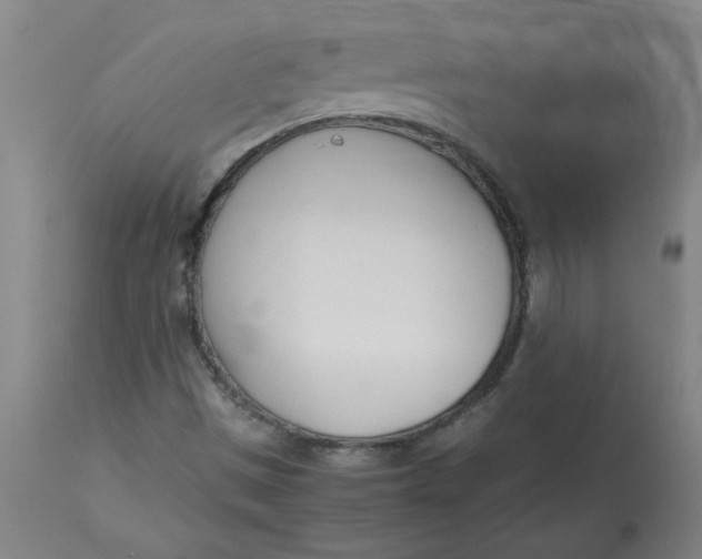 X0000113151497200909251315