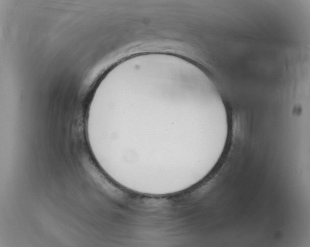 X0000113151498200909251315