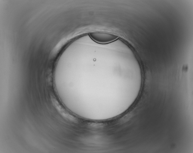 X0000113151499200909251315