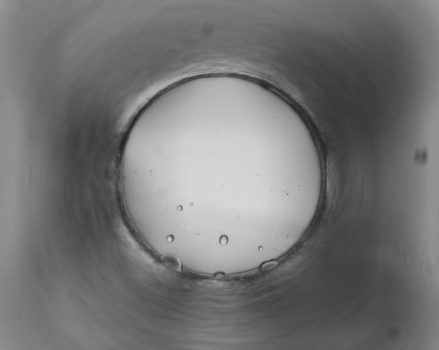 X0000113151500200909251315