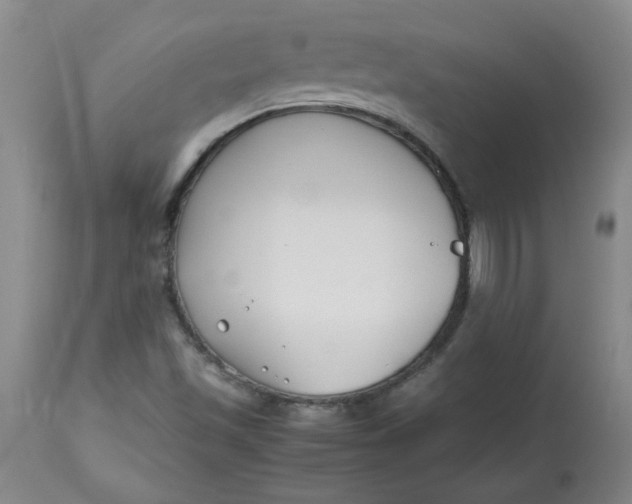 X0000113151501200909251315