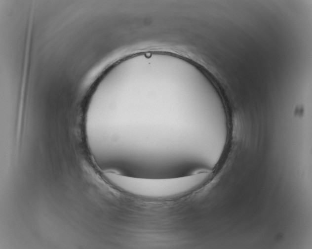 X0000113151502200909251315