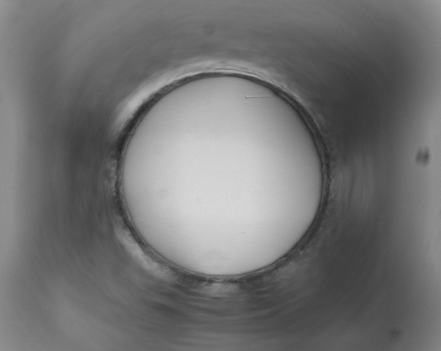 X0000113151503200909251315