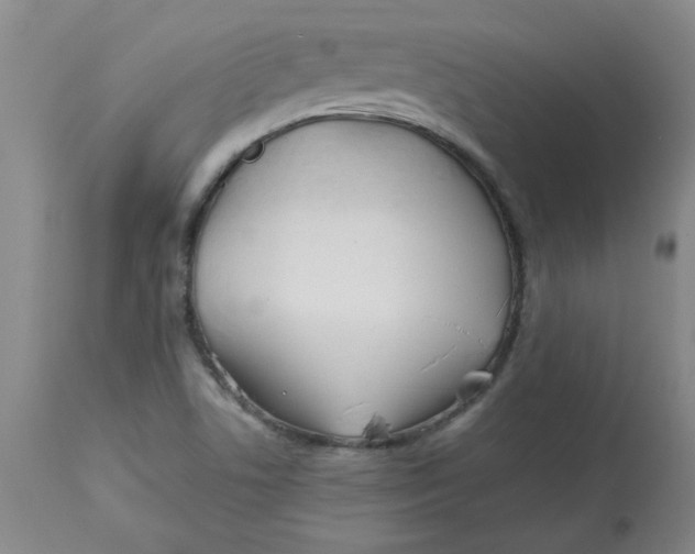 X0000113151506200909251315