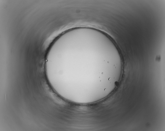 X0000113151507200909251315