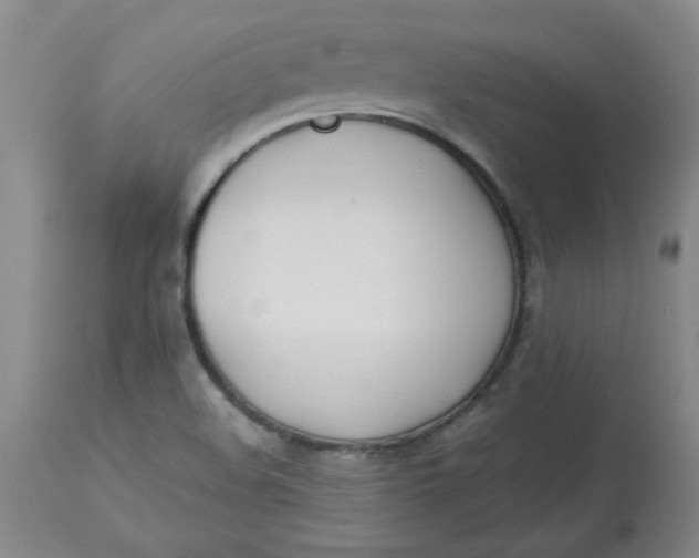 X0000113151508200909251315