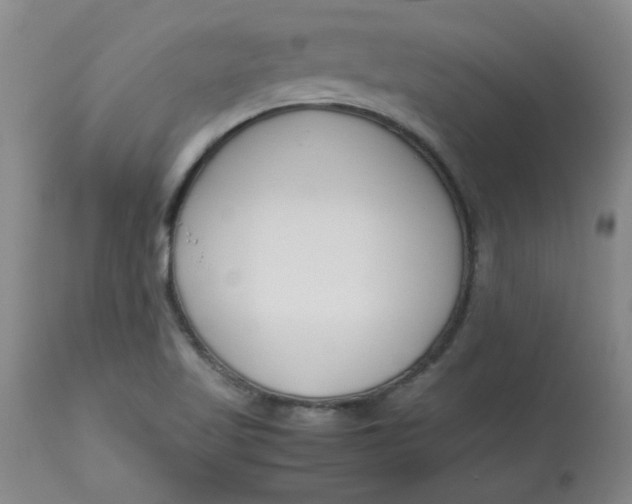 X0000113151509200909251315