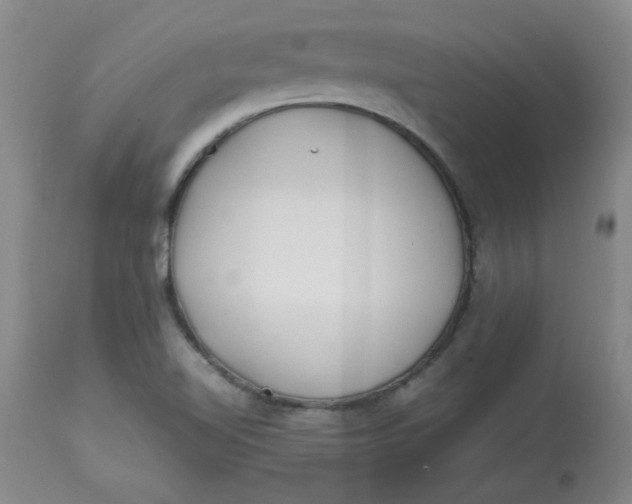 X0000113151510200909251316