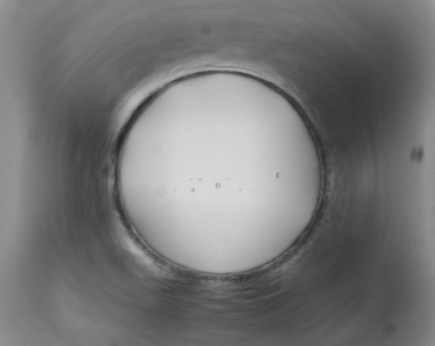 X0000113151511200909251316