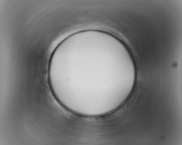 X0000113151512200909251316