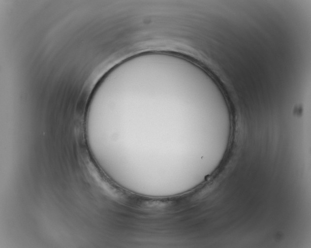 X0000113151513200909251316