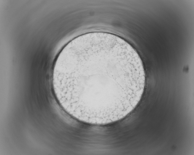 X0000113151514200909251316