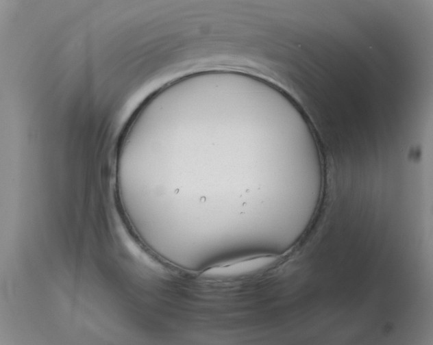 X0000113151515200909251316