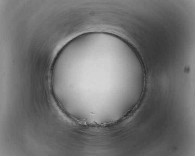 X0000113151517200909251316