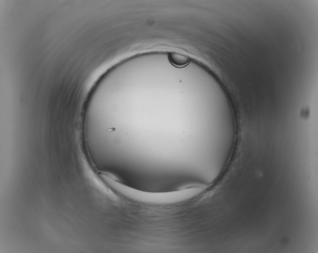 X0000113151518200909251316