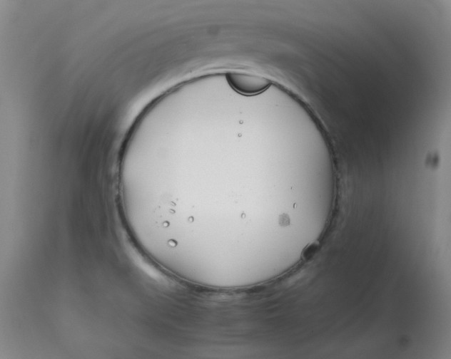 X0000113151519200909251316