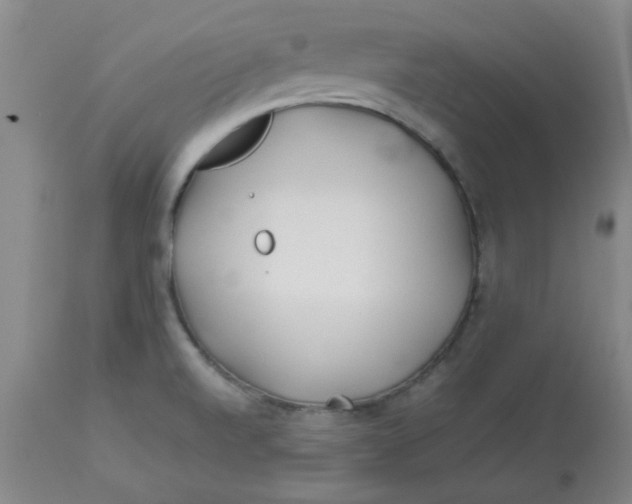 X0000113151520200909251316