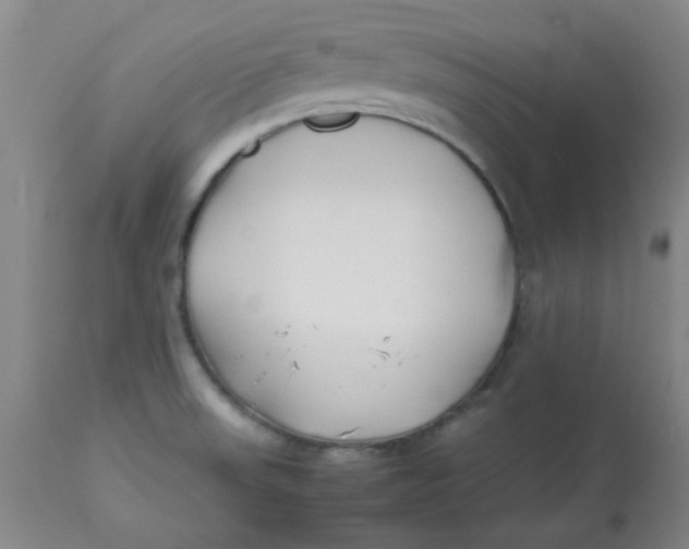 X0000113151523200909251316