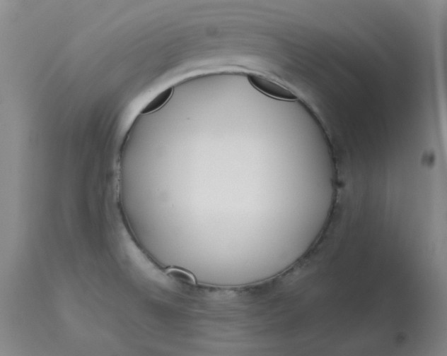 X0000113151524200909251316