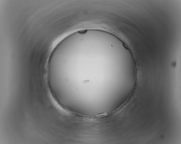 X0000113151528200909251316