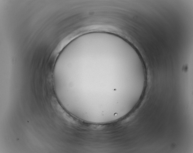 X0000113151529200909251316