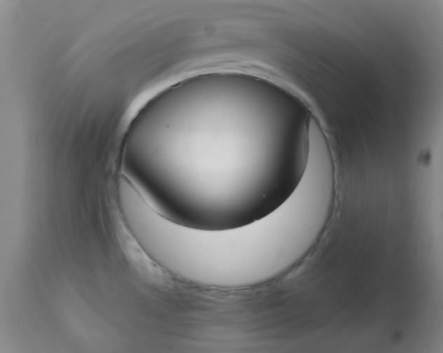 X0000113151530200909251316