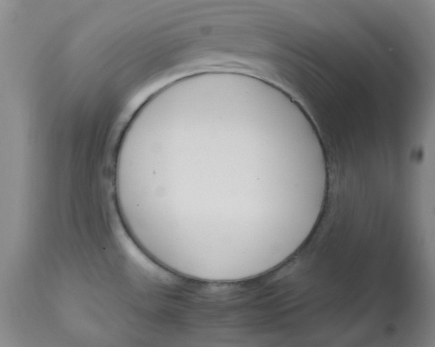 X0000113151531200909251316