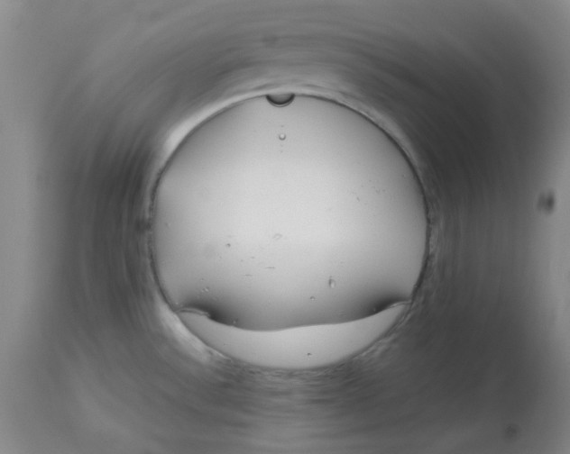 X0000113151532200909251316