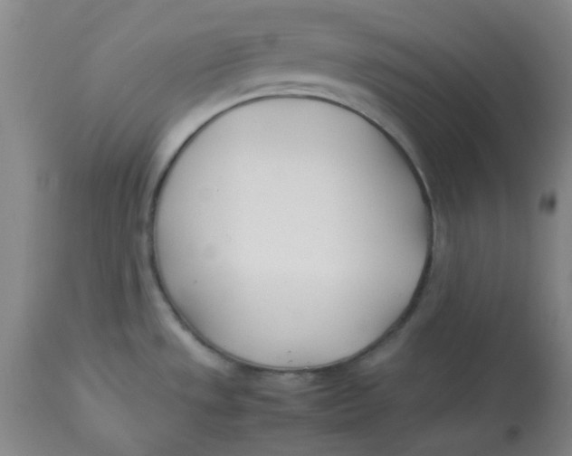 X0000113151533200909251316