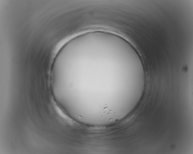 X0000113151535200909251316