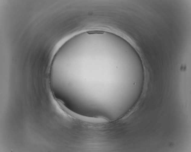 X0000113151536200909251316