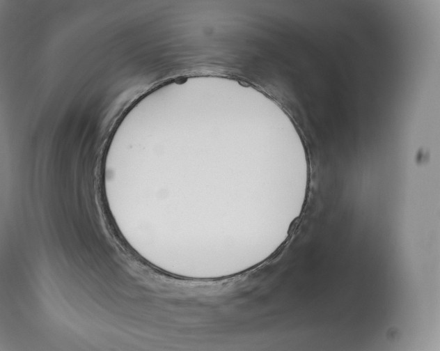 X0000113150001200910021513