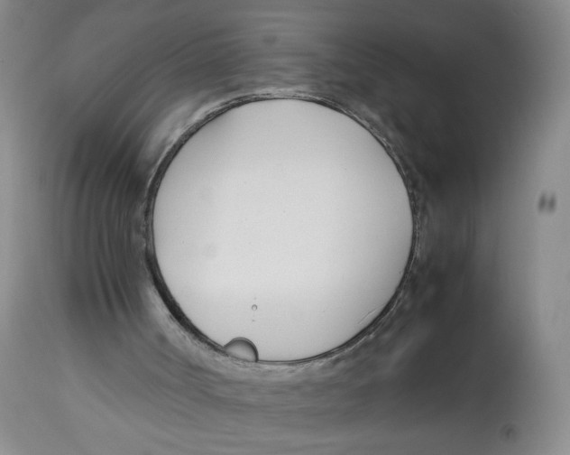 X0000113150002200910021513