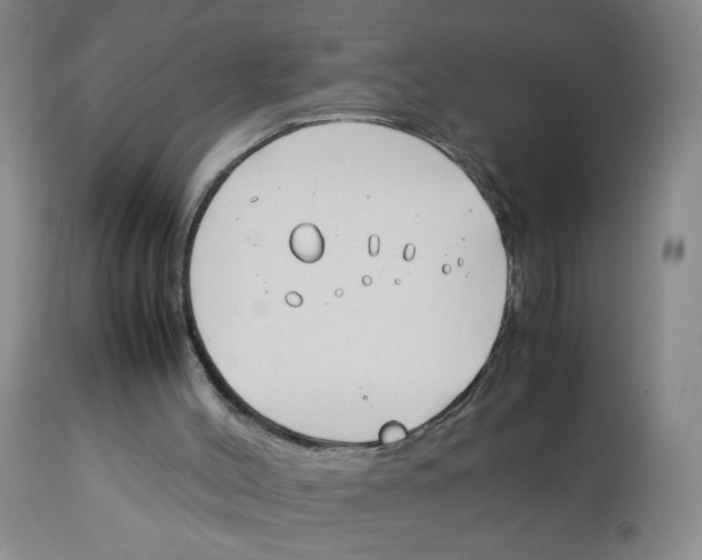 X0000113150004200910021513