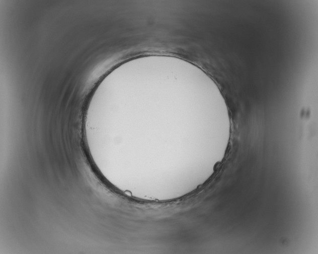 X0000113150005200910021513