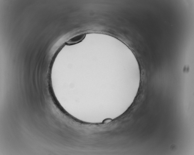 X0000113150007200910021513