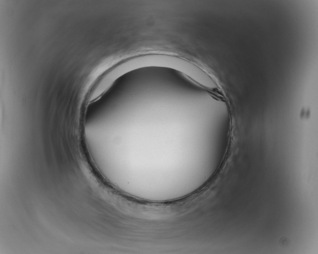 X0000113150008200910021513