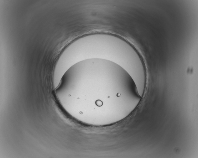 X0000113150009200910021513