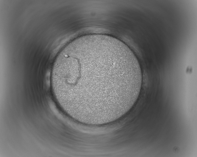 X0000113150014200910021513