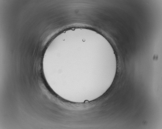 X0000113150015200910021513