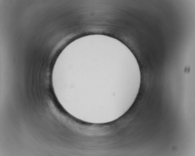 X0000113150016200910021513